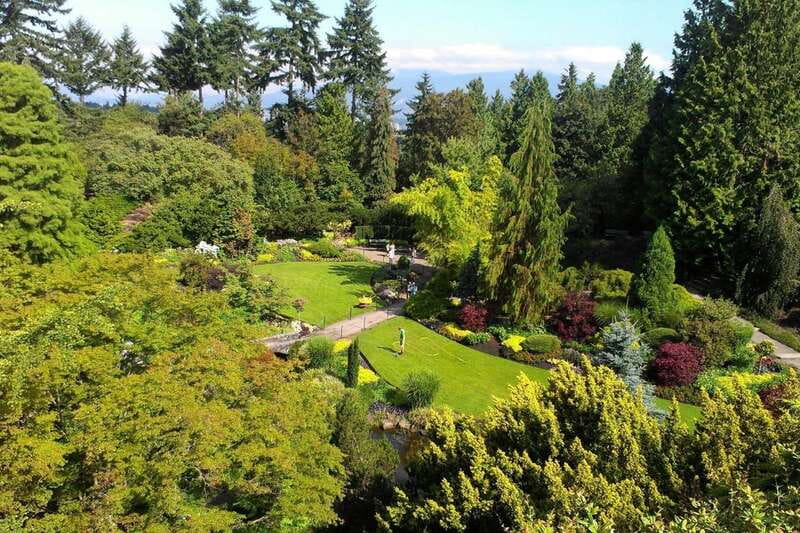 4-Hour Private Tour of Vancouver's Gardens - Getting around Vancouver in a classic Cadillac limousine