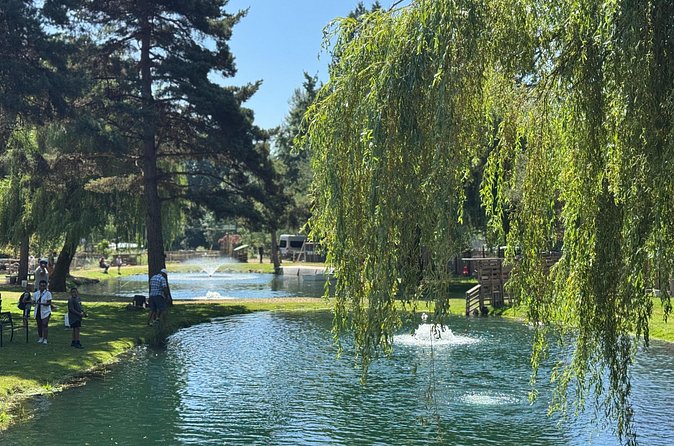 A Relaxing Day of Fishing and Fresh BBQ - Should you book Dreamytrip at Silverbrook Farm?