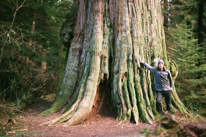 Ancient Trees of Vancouver Walking Tour - Why Colin Spratt makes the forest feel personal