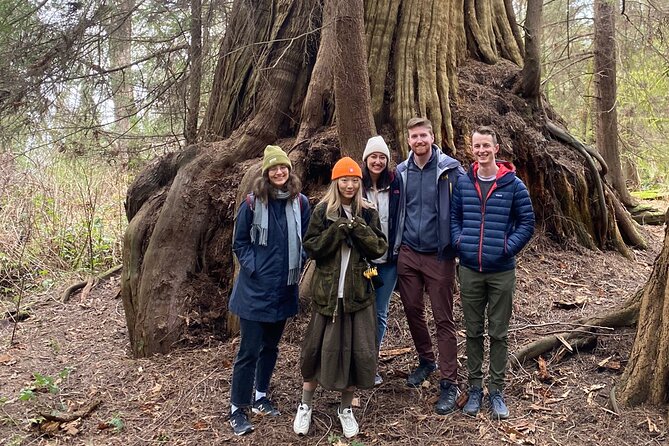 Ancient Trees of Vancouver Walking Tour - The “old growth” part: what you’ll actually notice on the trail