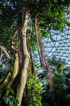 Bloedel Conservatory Admission Ticket - How long to plan: short, but you can stretch it