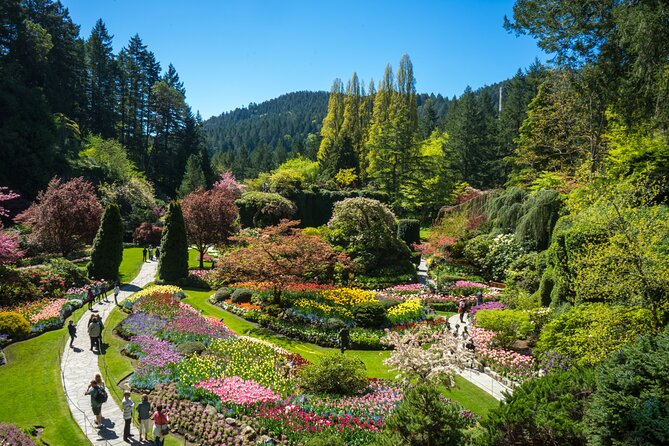 Butchart Gardens and Victoria Sightseeing Tour from Vancouver - Butchart Gardens: a timed look at 55 acres and 900+ plant species
