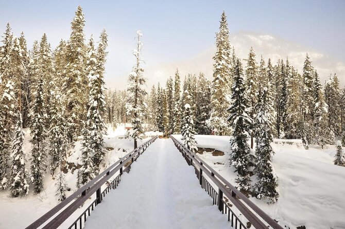 Canadian Rockies and Banff 4-Day Tour from Vancouver (Chn&Eng) - Price and Logistics: what $862.94 really buys