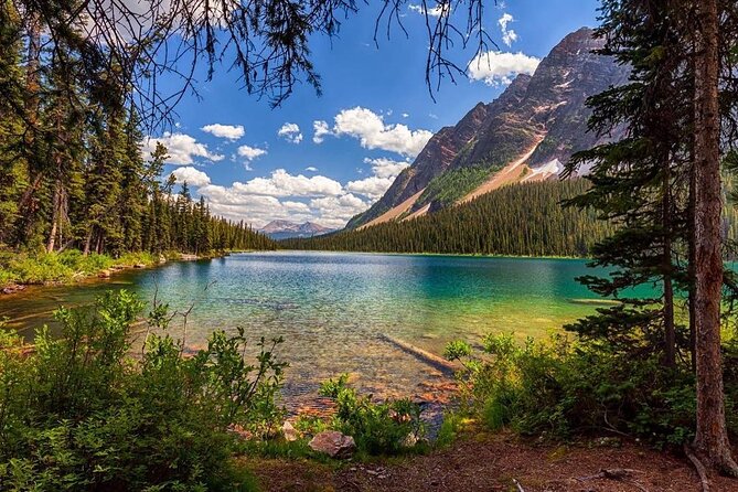 Canadian Rockies and Banff 4-Day Tour from Vancouver (Chn&Eng) - Meals, wine, and what to expect when you don’t buy the meal package