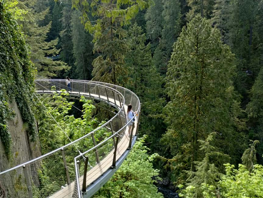 Capilano Br+Grouse Mtn+Dam+Lake&Hatcher/5in1/Small Group/Car - Vancouver city pass-by and photo stops: quick hits, smart timing