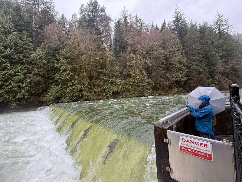 Capilano Br+Grouse Mtn+Dam+Lake&Hatcher/5in1/Small Group/Car - Price and value: what $187 is really buying you