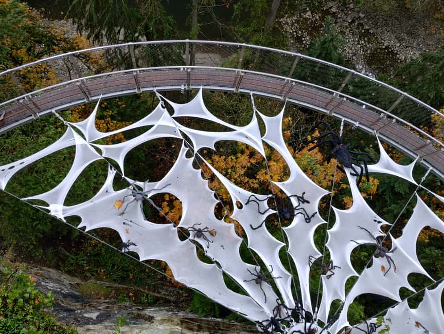 CAPILANO BR+GROUSE Mtn+STANLEY P+DAM+LAKE+HATCHERY/CAR/9in1 - Why This Half-Day Vancouver Combo Works