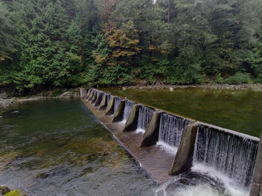 Capilano Suspension Br+Lake+Dam+Hachery/4in1/CAR/Small GROUP - Photos, coffee-shop discounts, and small practical perks