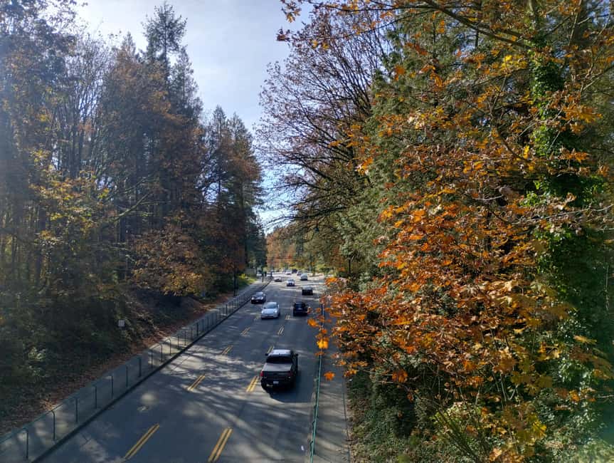 Capilano Suspension Br+Lake+Dam+Hachery/4in1/CAR/Small GROUP - Who should book this tour (and who might want something else)