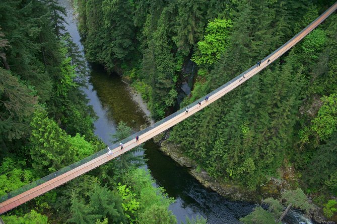 Capilano Suspension Bridge + Grouse Mountain Tour - Price and Value: What Your $200.38 Actually Covers