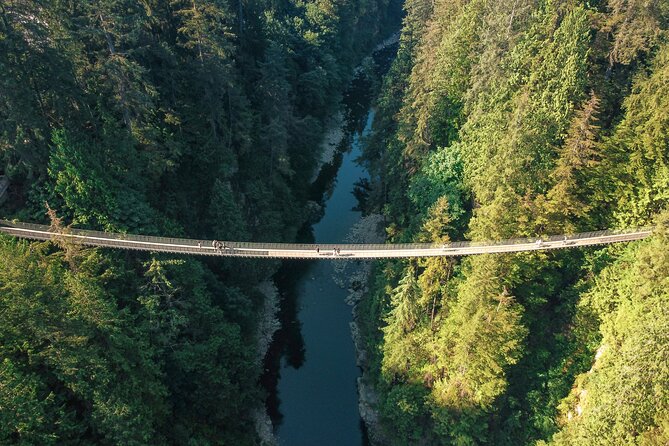 Capilano Suspension Bridge Park Ticket - Cliffwalk: the narrow cliffside path for unobstructed canyon views