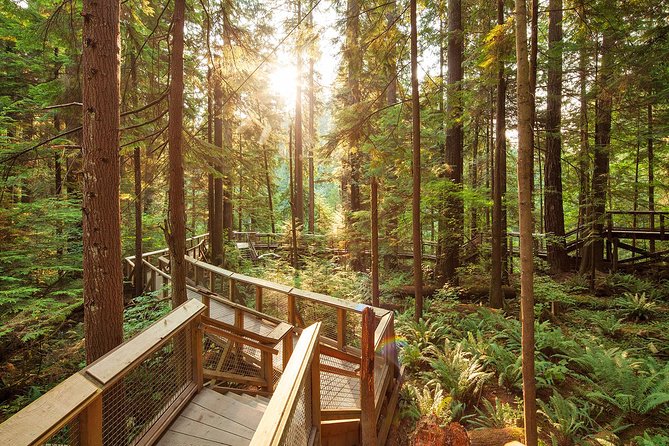 Capilano Suspension Bridge Park Ticket - Treetops Adventure: those seven suspended bridges high in the canopy