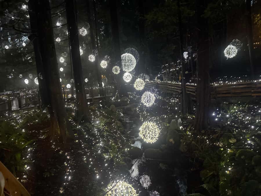 Capilano Suspension Bridge/Private/Small Group/By LUX CAR - Key moments to look forward to