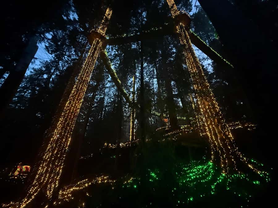 Capilano Suspension Bridge/Private/Small Group/By LUX CAR - Value check: what you’re really paying for