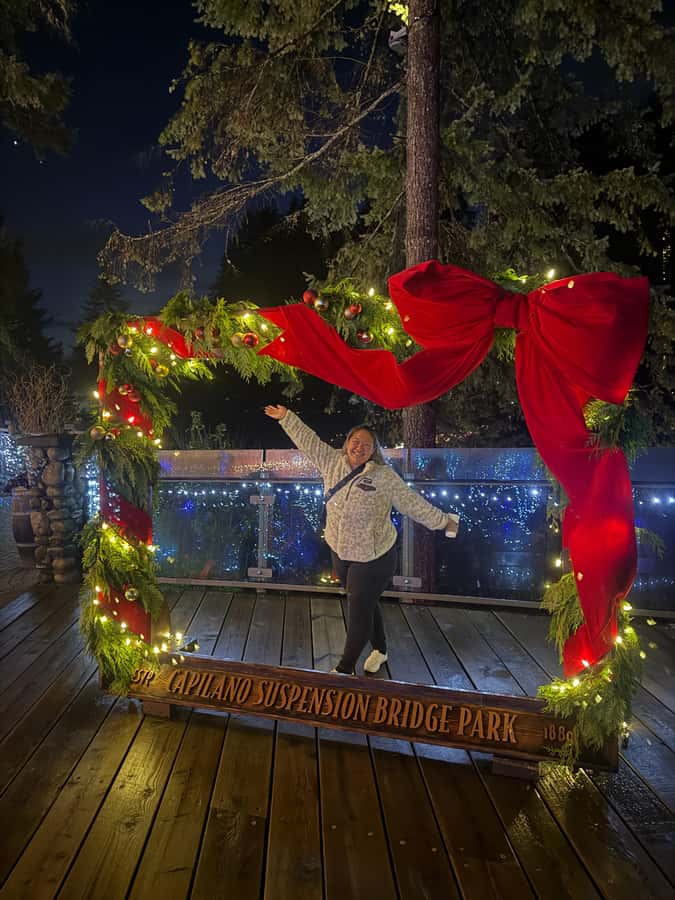 Capilano Suspension Bridge/Private/Small Group/By LUX CAR - Stanley Park by car: getting the big picture first