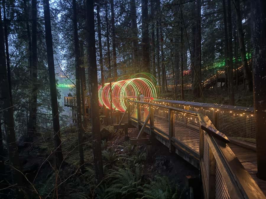 Capilano Suspension Bridge/Private/Small Group/By LUX CAR - Lions Gate Bridge: quick, iconic, and very photo-friendly