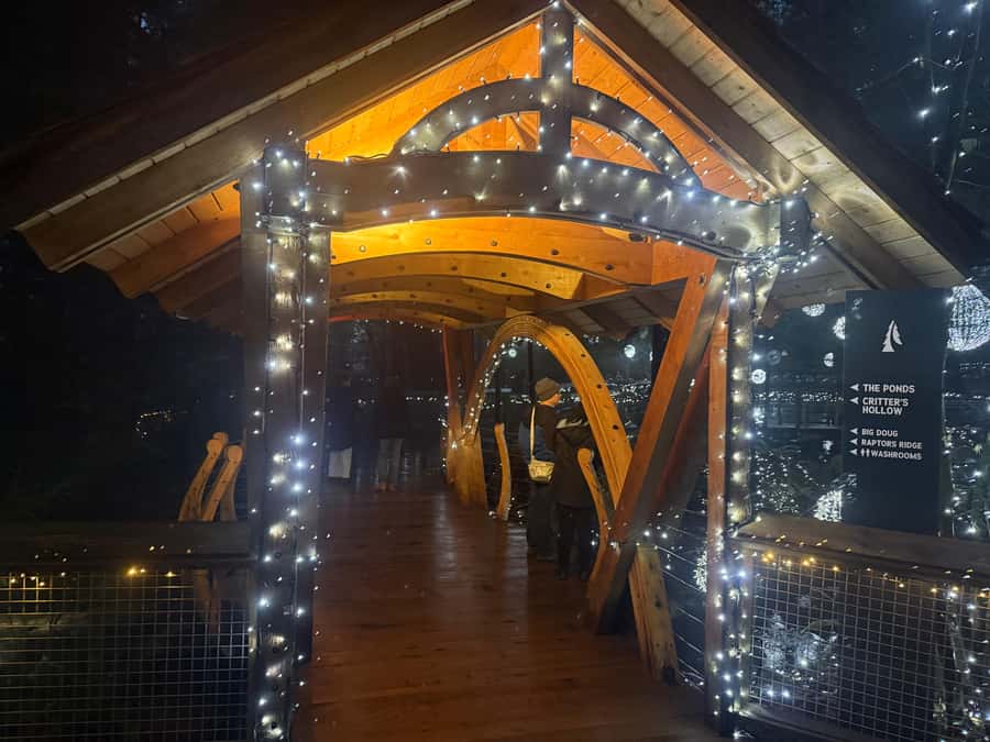 Capilano Suspension Bridge/Private/Small Group/By LUX CAR - Capilano Suspension Bridge: the thrill with a view