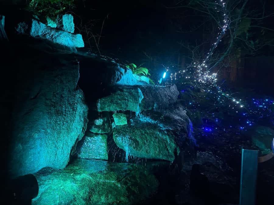 Capilano Suspension Bridge/Private/Small Group/By LUX CAR - Cliffwalk: narrow granite paths, big canyon energy