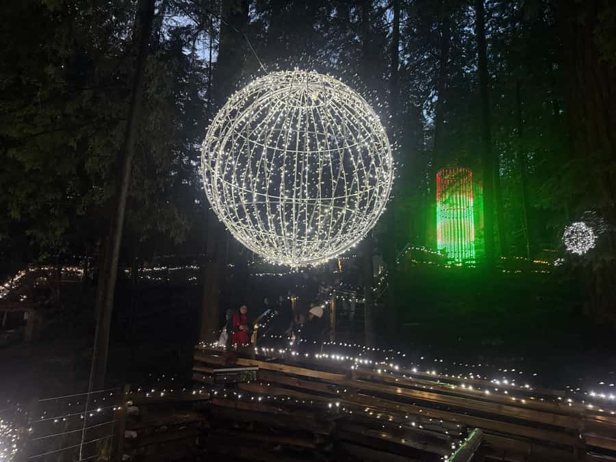 Capilano Suspension Bridge/Private/Small Group/By LUX CAR - Treetops Adventure: seven suspension bridges in the canopy