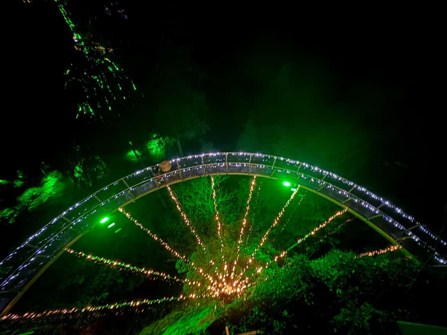 Capilano Suspension Bridge/Private/Small Group/By LUX CAR - Downtown pickup and the smooth start