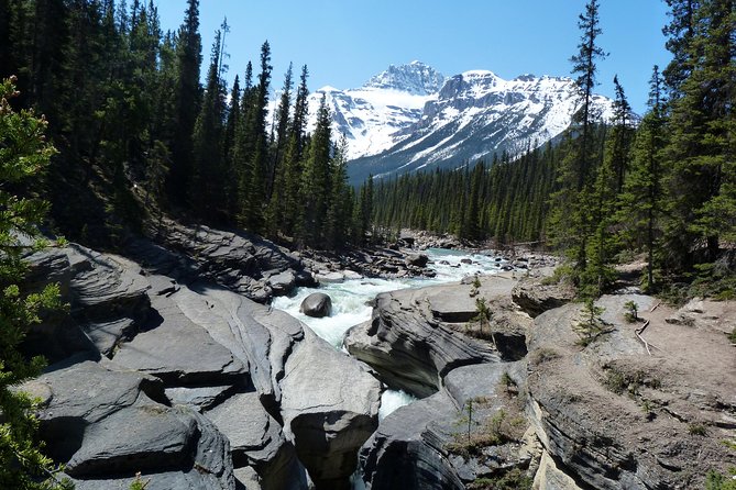 Caribou - Discover the Best of the Rockies (8-Days) - Day 2: Revelstoke outdoors, Golden Skybridge, then Banff
