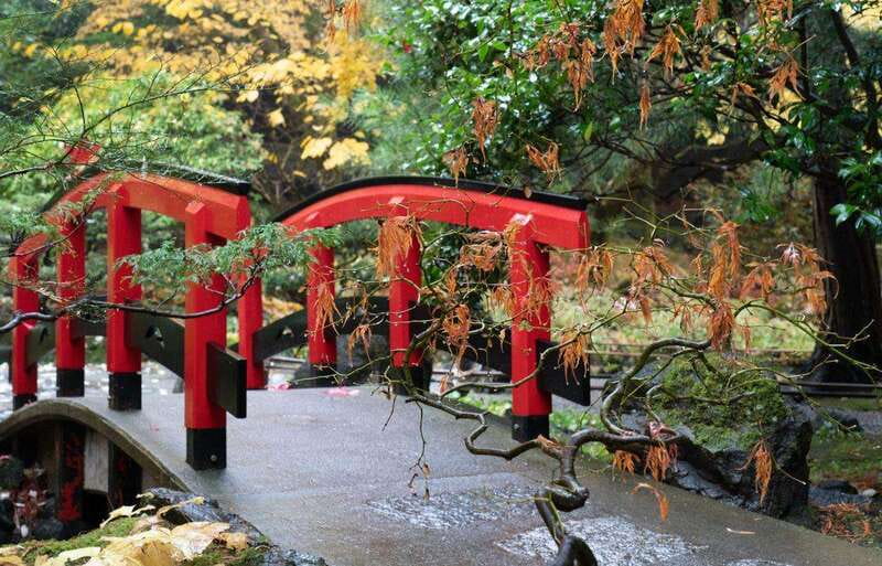 Day Trip from Vancouver to Victoria and Butchart Gardens - Pick-up and drop-off in Vancouver: small detail, big impact