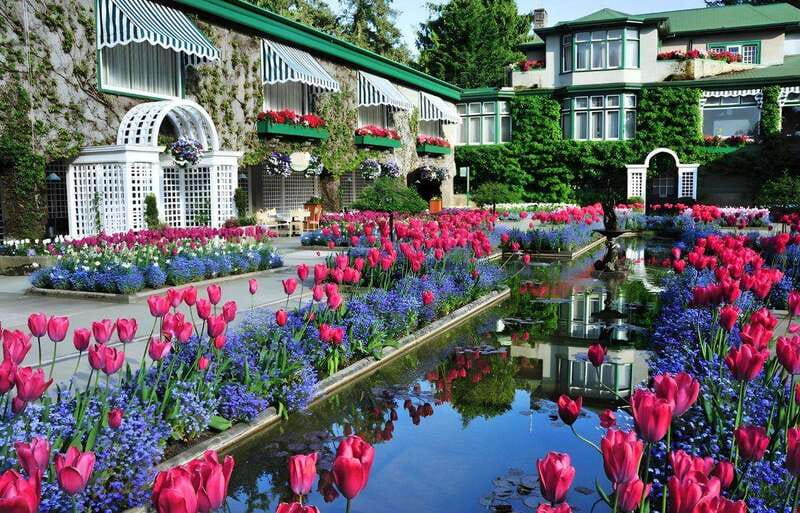 Day Trip from Vancouver to Victoria and Butchart Gardens - Timing reality: why 12 hours can feel short or long