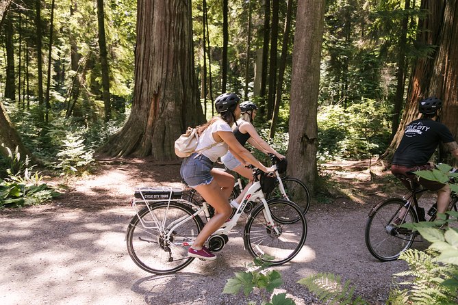 Epic Electric Bike Tour by Cycle City Tours - Lions Gate Bridge Views From Prospect Point (Hill, Handled)