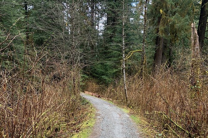 Experience the Beauty of Vancouver’s Forests by Bike/E-Bike - Should You Book Breakaway Adventures’ Vancouver Forest Bike Tour?