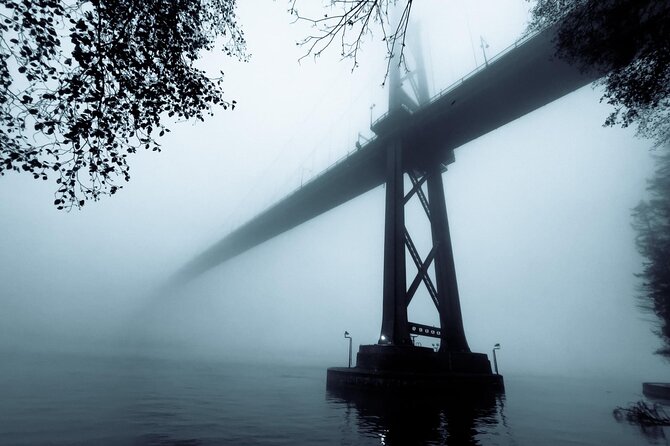 Explore Stanley Park on Electric Scooters - Who this tour suits best (and who should think twice)