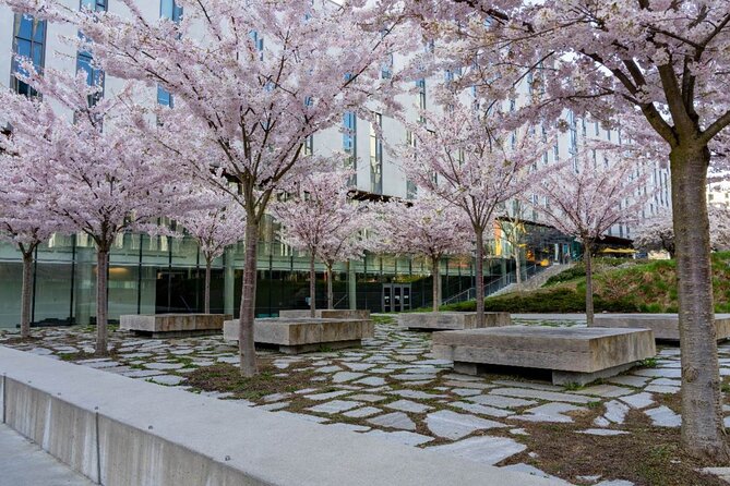 Explore Vancouver: Beaches & Downtown Audio Tour Bundle - Locarno Beach: Quiet by Law (Yes, That’s a Thing)
