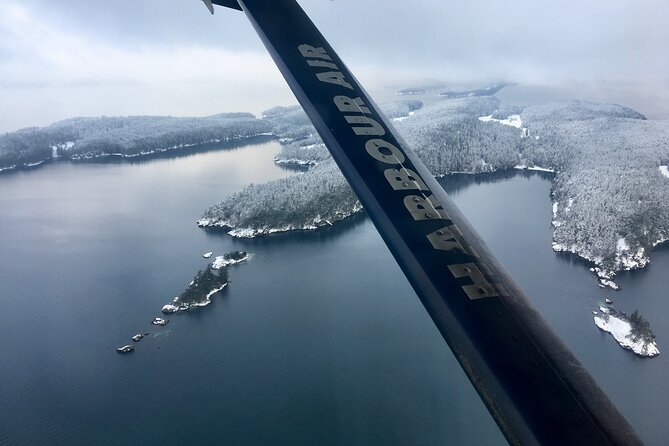 Extended Vancouver Panorama Scenic Seaplane Tour - Price and Value: Is $203.95 Worth It?