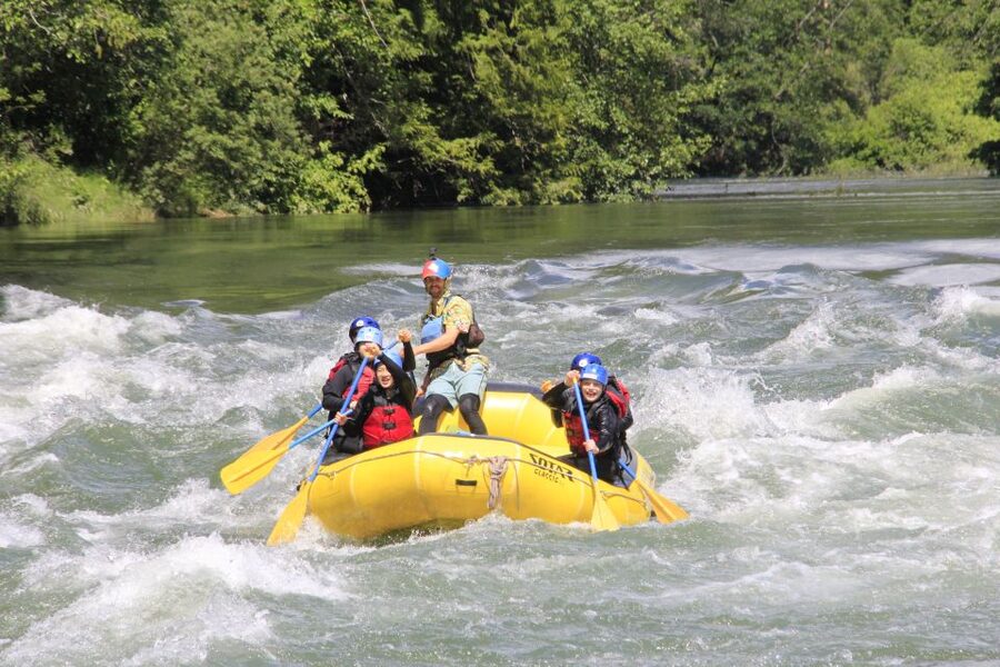 Family-Friendly Cheakamus Splash - What You’ll See: Old Growth Forest, Peaks, and Wildlife