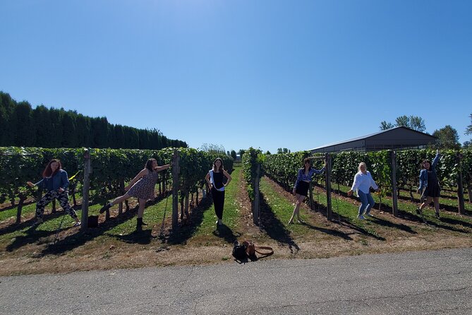Fraser Valley Wine Tour from Vancouver with a Light Lunch - Lunch That Actually Fits: Cheese, Charcuterie, and a Break From Pure Sipping