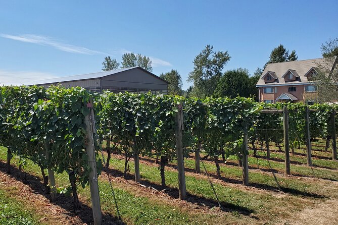 Fraser Valley Wine Tour from Vancouver with a Light Lunch - Meeting at 901 W Cordova and the Van Ride That Shapes the Day