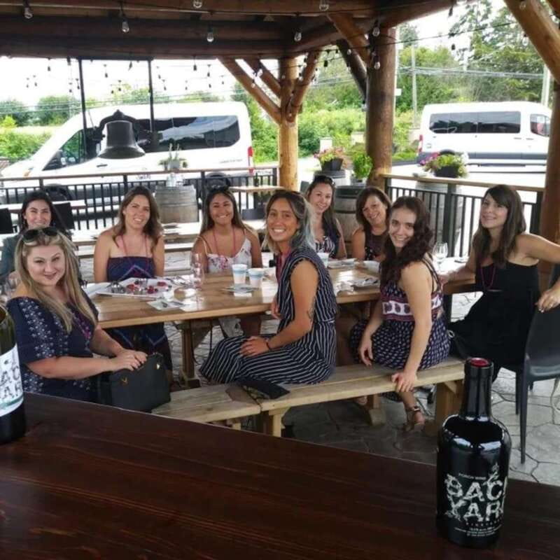 From Vancouver: Fraser Valley Wine Tour with Local Tastings - Downtown Vancouver pickup to Fraser Valley tasting route