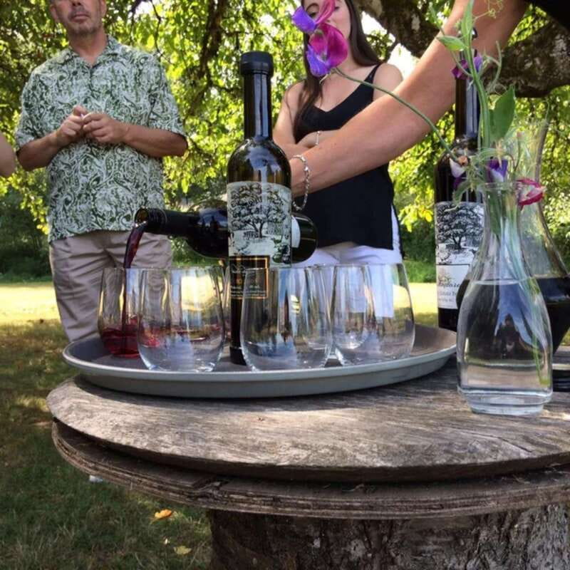 From Vancouver: Fraser Valley Wine Tour with Local Tastings - What’s included in the $131 price (and what you’re really paying for)