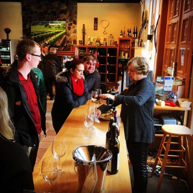 From Vancouver: Fraser Valley Wine Tour with Local Tastings - Winery stop 1: Backyard Wines, tastings plus charcuterie-style comfort