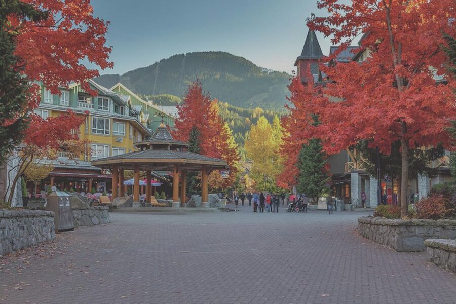 From Vancouver: Whistler and Shannon Falls Private Day Trip - From Vancouver in private comfort to the Sea to Sky Highway’s first big views