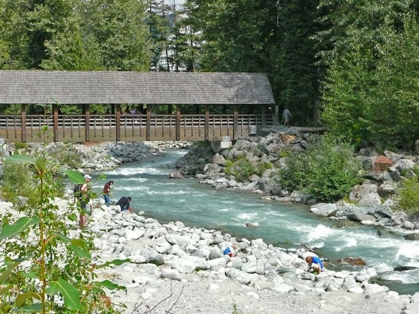 From Vancouver: Whistler and Shannon Falls Private Day Trip - Sea to Sky Gondola time and the Blackcomb Mountain Peak lesson