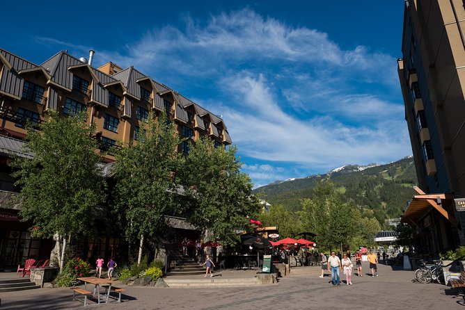 From Vancouver: Whistler & Sea to Sky Gondola with Shannon Falls - Sea to Sky Gondola at Habrich Ridge: The Main Event