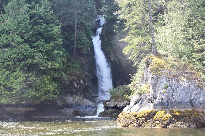 Granite Falls Zodiac Tour by Vancouver Water Adventures - Price and value: is $104.60 worth it?