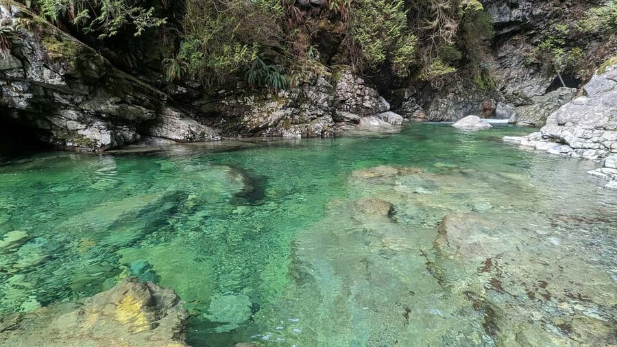 Grouse Mnt+StanleyPark+Hatchery+Cleveland Dam+LynnCanyonTOUR - Capilano River Hatchery: salmon’s life cycle, explained in real time