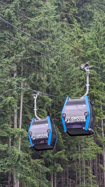 Grouse Mnt+StanleyPark+Hatchery+Cleveland Dam+LynnCanyonTOUR - Stanley Park in 30 minutes: make it count
