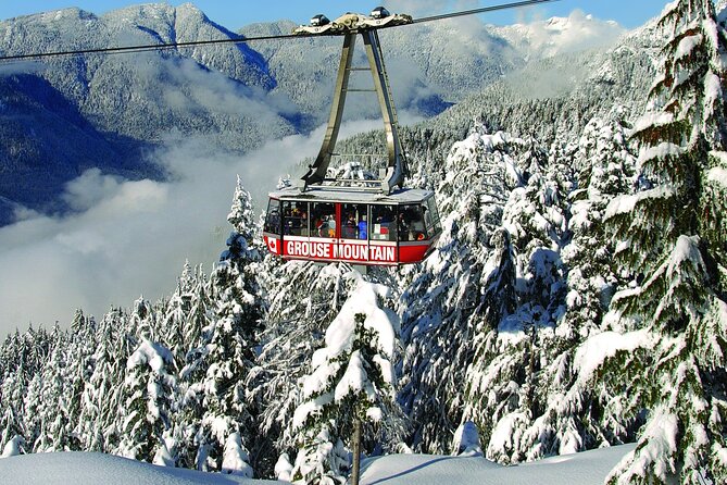 Grouse Mountain Admission Ticket - Why this short mountain escape feels so worthwhile