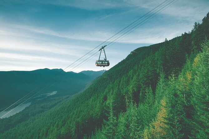 Grouse Mountain Admission Ticket - Winter at Grouse Mountain: skating, snowshoe trails, and the Light Walk