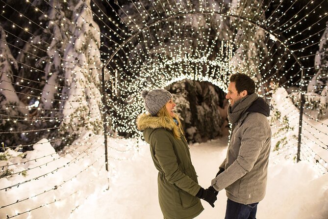 Grouse Mountain Admission Ticket - Your 2–4 hour plan: how to avoid rushing without missing the best bits