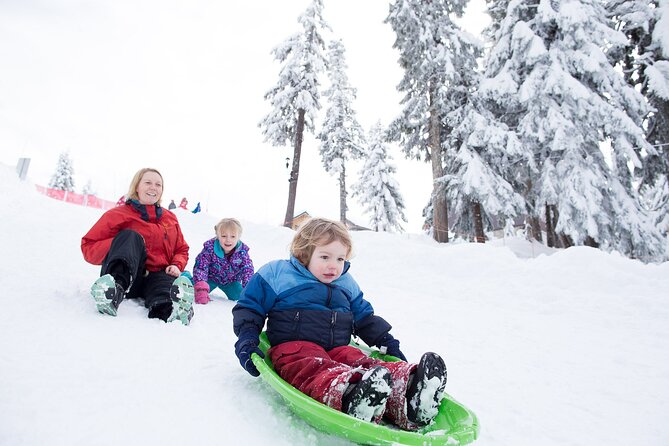 Grouse Mountain Admission Ticket - Getting there from Vancouver: shuttle, public transit, and getting back