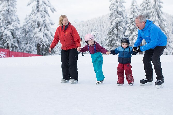 Grouse Mountain Admission Ticket - What you get with the Peak Experience ticket (and what you pay extra for)