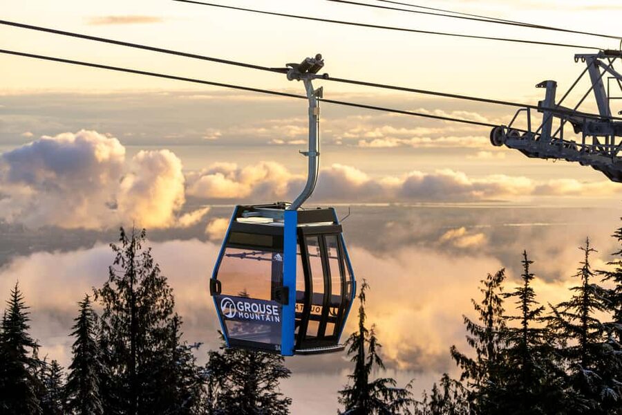 Grouse Mountain, Capilano Bridge & Fish Hatchery Tour - Key things you’ll care about
